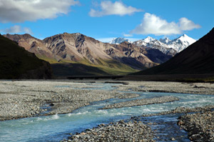 Denali National Park