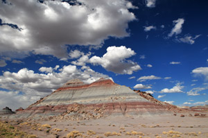 Petrified Forest National Park