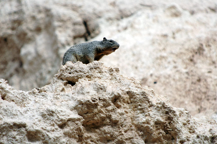 Montezuma_Castle_NM_014