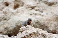 Montezuma_Castle_NM_012