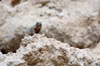 Montezuma_Castle_NM_013