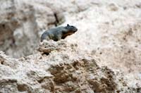 Montezuma_Castle_NM_014