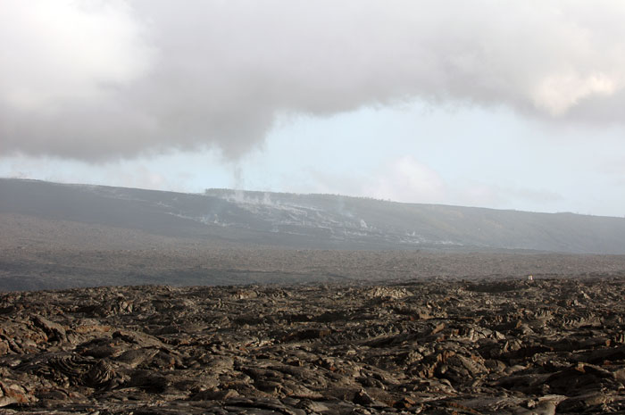 Hawai'i_Volcanoes_NP_035