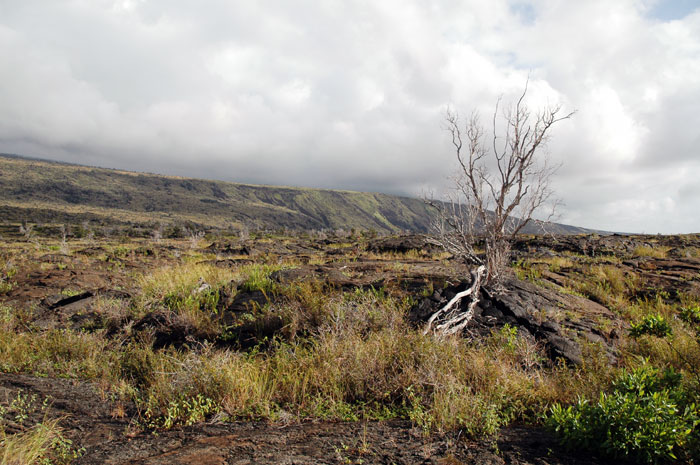 Hawai'i_Volcanoes_NP_055