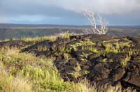 Hawai'i_Volcanoes_NP_022