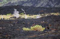 Hawai'i_Volcanoes_NP_045