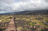 Hawai'i_Volcanoes_NP_067