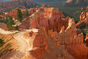 Bryce National Park