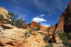 Zion National Park