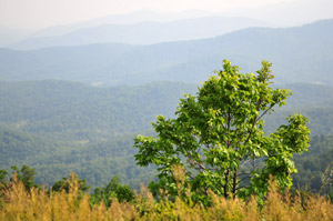 Shenandoah National Park