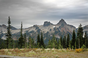 Mount Rainier National Park