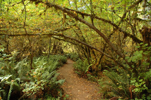 Olympic National Park