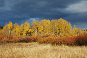 Grand Teton National Park