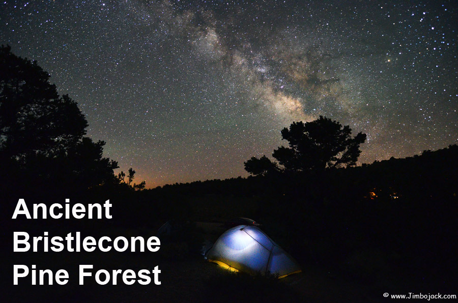 Index - Jimbojack - California - Ancient Bristlecone Pine Forest