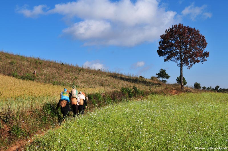 Myanmar_Trek_018.jpg