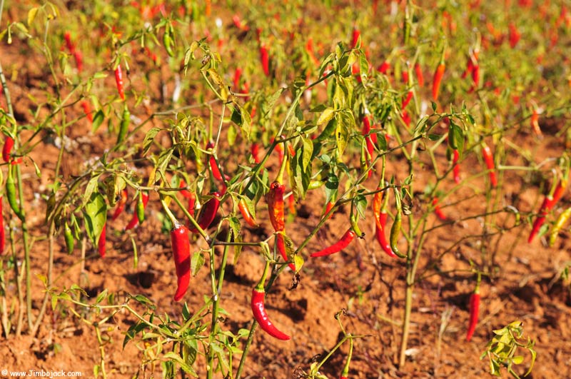 Myanmar_Trek_021.jpg