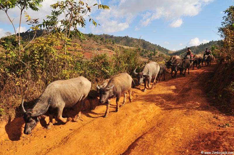 Myanmar_Trek_024.jpg