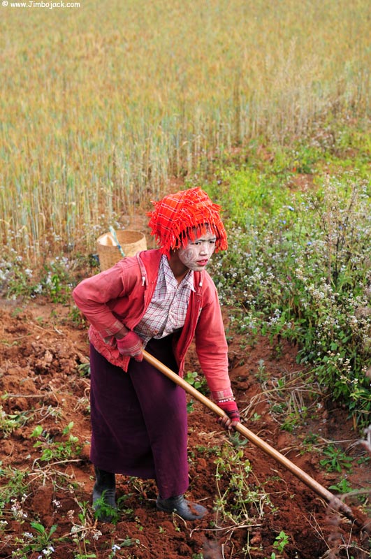 Myanmar_Trek_026.jpg