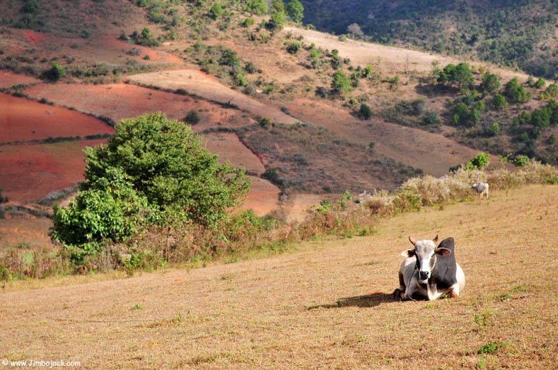 Myanmar_Trek_027.jpg