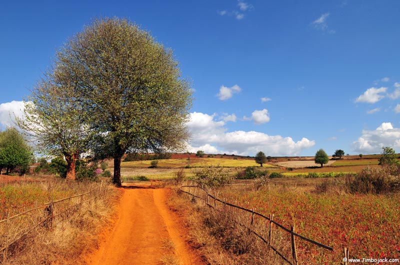 Myanmar_Trek_038.jpg