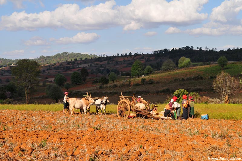 Myanmar_Trek_039.jpg