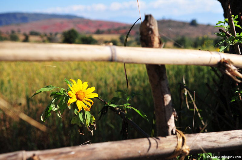 Myanmar_Trek_062.jpg