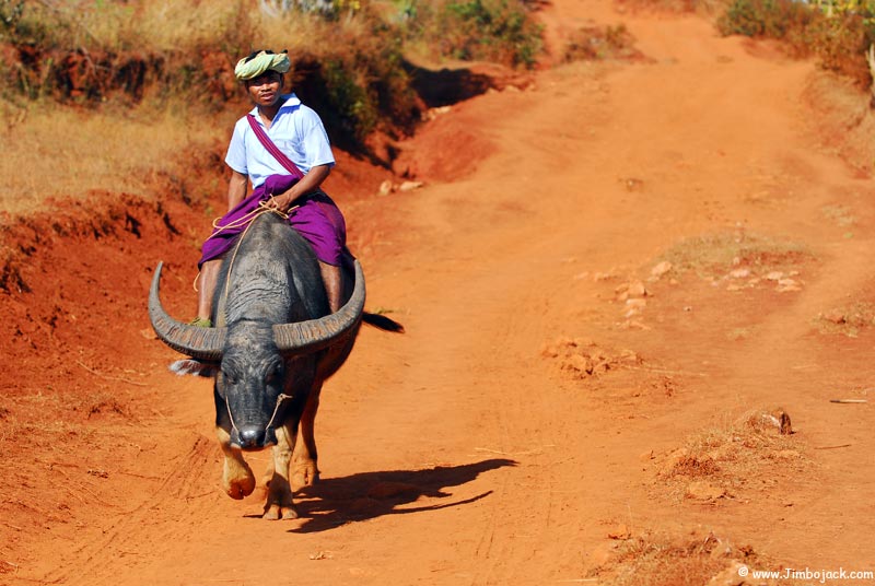 Myanmar_Trek_065.jpg