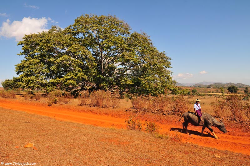 Myanmar_Trek_066.jpg